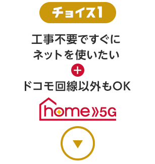 チョイス1 工事不要ですぐにネットを使いたい+ドコモ回線以外もOK